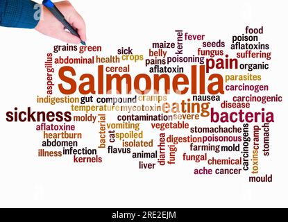 Word Cloud avec SALMONELLA concept créer avec du texte seulement. Banque D'Images