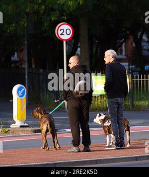 Manchester, Royaume-Uni. 24 juillet 2023. Deux hommes prennent deux chiens pour leur promenade du soir, vérifier la circulation sur A6, alors qu'ils se dirigent vers Ardwick Park. Le soleil se couche pour donner un soleil de côté lumineux et une soirée rafraîchissante rafraîchissante. Prendre un Nikon D750 pour une promenade à Ardwick. Crédit : Terry Waller/Alamy Live News Banque D'Images