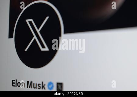 Nouveau logo de la page d'accueil du site Web de médias sociaux Twitter. La photo montre qu'Elon Musk a changé le célèbre logo oiseau de Twitter par le nouveau logo ''X'' Banque D'Images