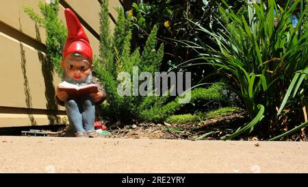 Un gnome de jardin lisant un livre à l'extérieur au soleil entouré de plantes et de verdure ; livre ouvert sur une journée ensoleillée ; espace de copie. Banque D'Images