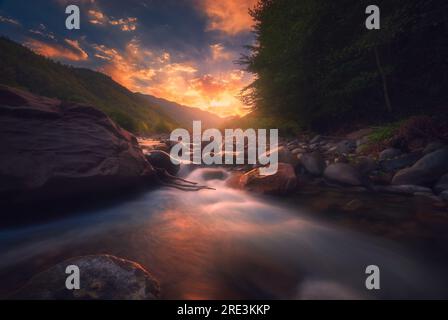 Magnifique paysage ensoleillé d'été. Rivière de montagne à écoulement rapide. Banque D'Images