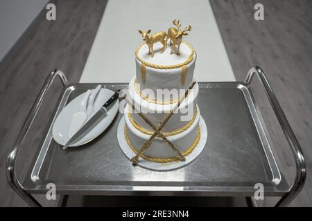 Deux napperons de gâteau de mariage rendeer avec des bâtons magig et des éléments dorés style Harry Potter. Banque D'Images