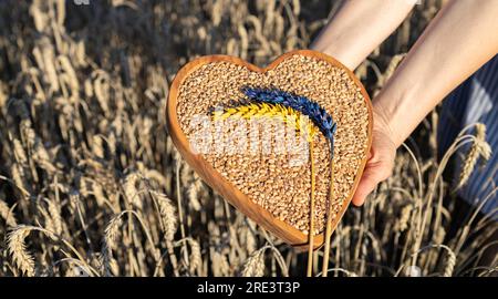 grains mûrs de blé dans le coeur en bois et deux épillets colorés en bleu jaune sur le champ de blé Banque D'Images
