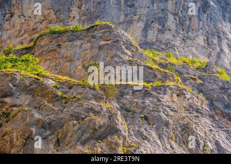 Gorge de Trigrad canyon de roches verticales de marbre dans les montagnes de rhodope, Bulgarie Banque D'Images