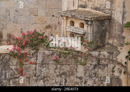 Cour isolée d'une maison de marchands dans la ville fortifiée historique de Rabat à Malte Banque D'Images