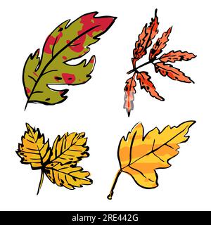 Ensemble de feuilles de motley croquis d'automne. Couleur texturée dessinée à la main taches d'herbe sur fond blanc. Plantes Doodle. Nature, jardinage, forêt, signe d'automne. Sculpté Illustration de Vecteur