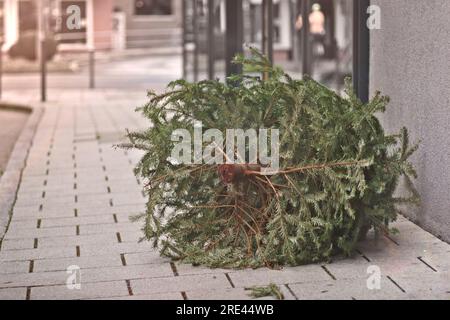 Arbre de noël jeté après les fêtes sur le trottoir. Banque D'Images