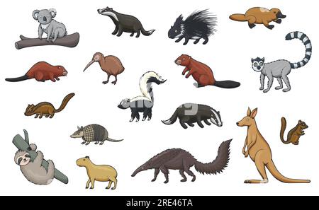 Icônes de dessin animé animal de sport de chasse, zoo et faune. Vecteur kangourou, koala et ornithorynque, kiwi oiseau, porc-épic, blaireau, castor et lémurien, chipmunk, capybara et paresseux, armadillo, skunk, fourmière Illustration de Vecteur