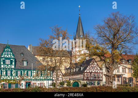 Géographie / voyages, Allemagne, Hesse, Oestrich-Winkel, INFORMATIONS-AUTORISATION-DROITS-SUPPLÉMENTAIRES-NON-DISPONIBLES Banque D'Images