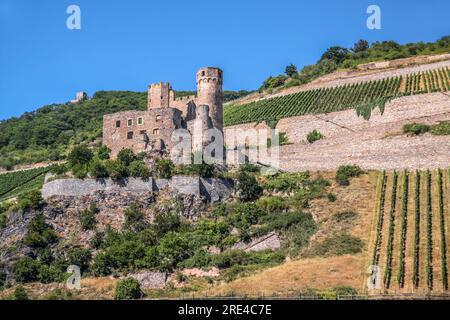 Géographie / voyages, Allemagne, Hesse, Ruedesheim, ruine Ehrenfels à Ruedesheim, INFORMATIONS-AUTORISATION-DROITS-SUPPLÉMENTAIRES-NON-DISPONIBLES Banque D'Images