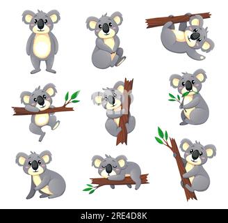 Personnages vectoriels d'ours koala de dessin animé, koala drôle mangeant et jouant sur la branche d'arbre d'eucalyptus. Animaux australiens mignons, ours gris dans différentes poses, debout, assis, grimper, dormir, recherche de nourriture Illustration de Vecteur