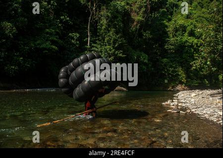 Les arbres de la forêt tropicale humide du parc national de Gunung Leuser sont bordés par le flux de la rivière Bahorok qui est également la zone écotouristique de Bukit Lawang à Langkat, Sumatra Nord, Indonésie le 24 juillet 2023. Photo Aditya Sutanta/ABACAPRESS.COM crédit : Abaca Press/Alamy Live News Banque D'Images