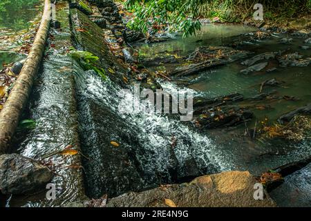 Eau s'écoulant de la petite cascade dans la forêt profonde au village de sri lanka. Banque D'Images