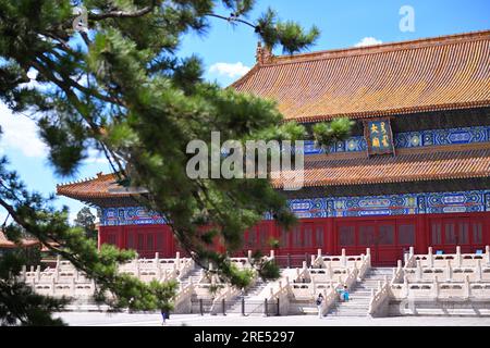 (230725) -- PÉKIN, 25 juillet 2023 (Xinhua) -- cette photo prise le 8 juillet 2023 montre le temple ancestral impérial de Pékin, capitale de la Chine. Créé sous la dynastie Yuan (1271-1368), l'axe central de Pékin, ou Zhongzhouxian, s'étend sur 7,8 kilomètres entre la porte de Yongding au sud de la ville et la Tour du tambour et du clocher au nord. La plupart des grands bâtiments de la vieille ville de Pékin se trouvent le long de cet axe. Portes, palais, temples, places et jardins de la vieille ville sont tous reliés à l'axe. Comme ils ont été témoins des activités folkloriques le long de la ligne de vieux jours à nouveau o Banque D'Images