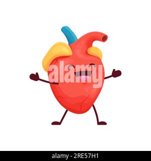 Personnage Kawaii d'organe de corps de coeur humain de dessin animé. Vector heureux et sain personnage anatomique du système cardiovasculaire réjouissez-vous avec un visage souriant mignon. Soins de santé cardiologiques, éducation médicale pour les enfants Illustration de Vecteur