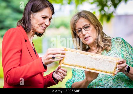 Hanovre, Allemagne. 25 juillet 2023. Miriam Staudte (Bündnis 90/Die Grünen, l), ministre de l'alimentation, de l'Agriculture et de la protection des consommateurs de Basse-Saxe, et Wiebke Langefeld, apiculteur, regardent les nids d'abeilles dans le jardin du ministère de l'Agriculture de Basse-Saxe. Le ministère obtient une troisième colonie d'abeilles. Crédit : Moritz Frankenberg/dpa/Alamy Live News Banque D'Images