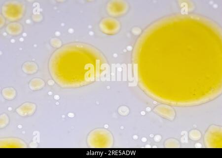 bulles liquides jaunes sur fond blanc, fond scientifique chimique abstrait Banque D'Images