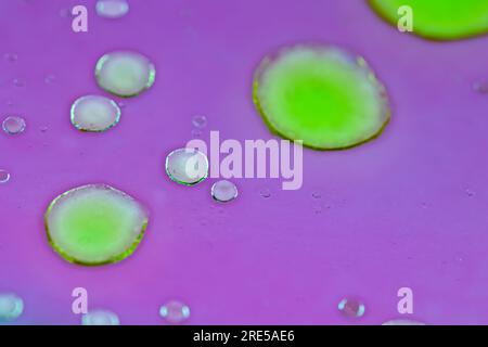 bulles de fond de chimie abstraite. Bulles liquides fluorescentes sur fond violet, macro photo simulation de cellules et tissus organiques. Fluorescent Banque D'Images