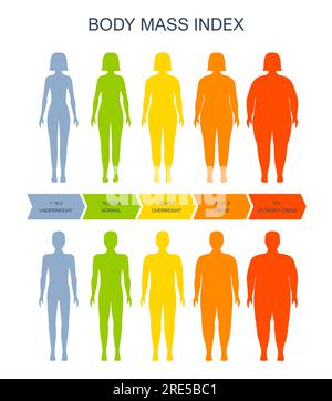 Graphique d'indice de masse corporelle, silhouette d'homme et de femme, échelle d'IMC vecteur de la santé, de l'obésité et du surpoids. Infographie de l'indice de masse corporelle sur l'échelle d'IMC de poids obèse et d'insuffisance pondérale féminine et masculine Illustration de Vecteur