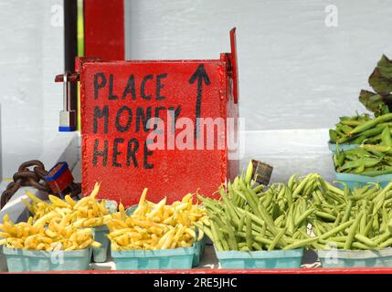 Le stand de légumes de bord de route Amish a l'acier, peint en rouge, boîte à argent cadenassée. Les fèves de cire et les fèves vertes sont placées dans des cartons destinés à être vendus au public. Banque D'Images