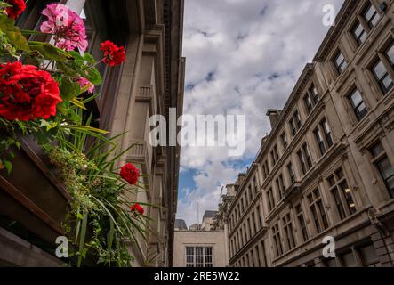 Londres, Royaume-Uni : fleurs rouges et roses dans une boîte à fleurs à Throgmorton Avenue dans la City de Londres. Banque D'Images