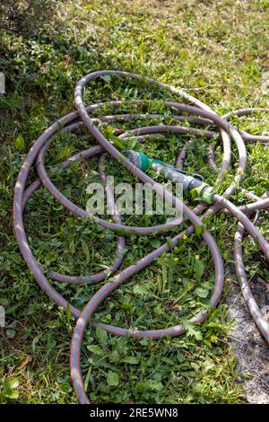 Tuyau d'arrosage sur une herbe Banque D'Images