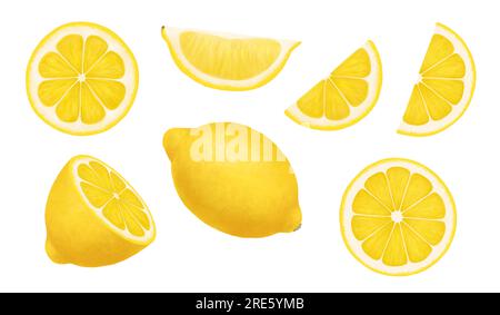 Citrons. Illustration réaliste isolée sur blanc. Entier, moitié et tranches d'un citron mûr. Agrumes juteux ensemble de morceaux coupés de fruits frais aigres avec Banque D'Images