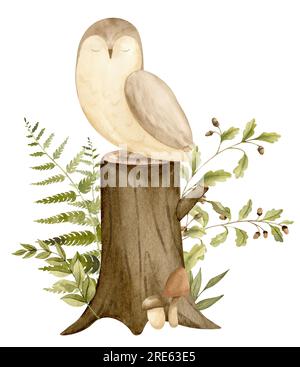 Hibou avec des plantes et souche dans une forêt. Illustration à l'aquarelle dessinée à la main de Bird for Baby Shower sur fond isolé blanc. Animal mignon Woodland pour cartes de voeux enfantines ou invitations. Banque D'Images