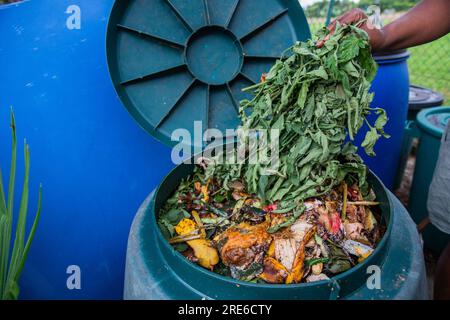 Une femme jette les plantes coupées et les déchets organiques du jardin dans le compost Banque D'Images