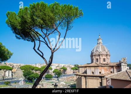 Rome, Latium, Italie, Eglise de Saint Joseph des charpentiers, San Giuseppe dei Falegnami, San Giuseppe a Campo Vaccino, St. Joseph au Cowfield. Banque D'Images