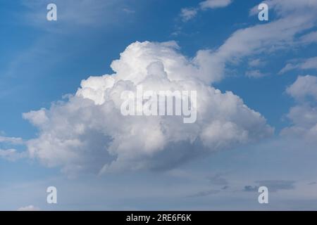 Nuage d'altocumulus unique dans le ciel bleu. Seul moelleux Banque D'Images