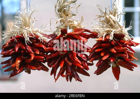 Trois bouquets de piments sont accrochés au marché sur la place de Santa Fe, au Nouveau-Mexique. Banque D'Images