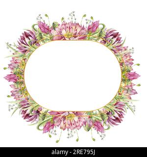 Un cadre ovale avec des fleurs de nénuphars et des herbes sauvages de la forêt. Illustration aquarelle sur fond blanc. Banque D'Images
