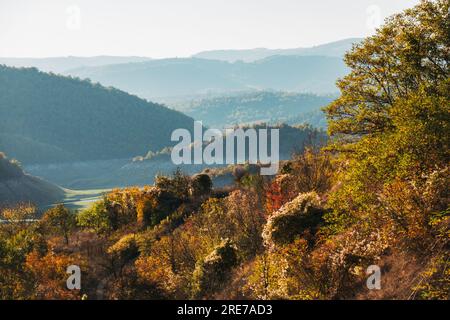 Couleurs d'automne vibrantes dans la campagne bulgare près de la ville de Logodazh Banque D'Images