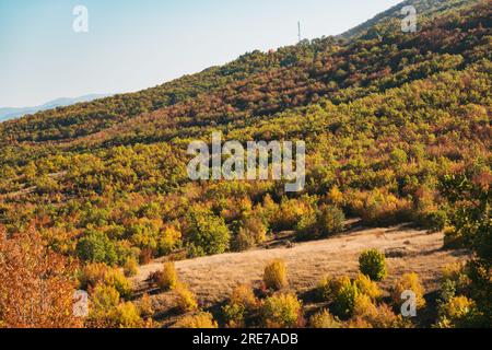 Couleurs d'automne vibrantes dans la campagne bulgare près de la ville de Logodazh Banque D'Images