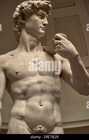 Fragment du célèbre David de Michel-Ange dans la Galerie de l'Académie, Florence Banque D'Images