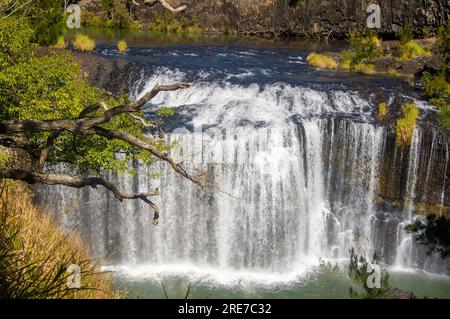 Millstream Falls, Yindinji, Big Millstream Falls, réputée être la plus large cascade d'Australie, Ravenshoe, Australie. Banque D'Images