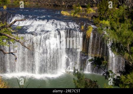 Millstream Falls, Yindinji, Big Millstream Falls, réputée être la plus large cascade d'Australie, Ravenshoe, Australie. Banque D'Images