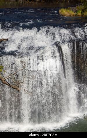 Millstream Falls, Yindinji, Big Millstream Falls, réputée être la plus large cascade d'Australie, Ravenshoe, Australie. Banque D'Images