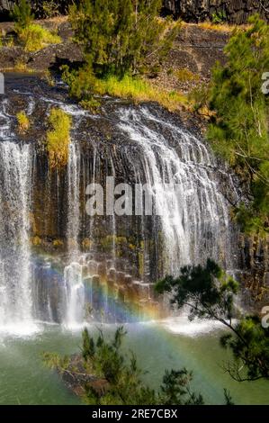 Millstream Falls, Yindinji, Big Millstream Falls, réputée être la plus large cascade d'Australie, Ravenshoe, Australie. Banque D'Images