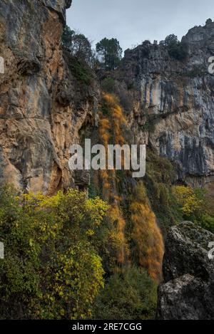 Cascade de la Malena, dans le Parc naturel de Cazorla, Segura y las Villas, province de Jaen, Andalousie, Espagne Banque D'Images