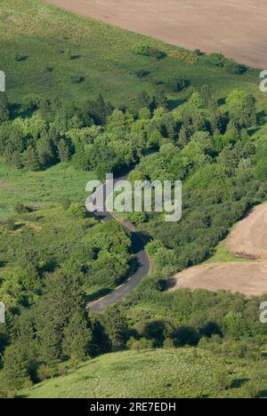 Parcelle de bois et d'herbes de prairie sous les pentes de Steptoe Butte. Steptoe Butte State Park, Washington, États-Unis. Banque D'Images