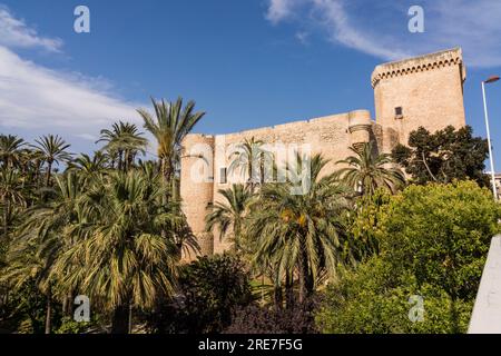 Palais d'Altamira et Basilique de Santa Maria, palmeraie d'Elche, site du patrimoine mondial de l'UNESCO, Communauté valencienne, Espagne Banque D'Images