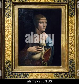 La dame de l'ermine (la Dama con l'ermellino) peinture du peintre italien de la Renaissance Léonard de Vinci, huile sur panneau, 54,8 cm de haut et 40,3 cm Banque D'Images