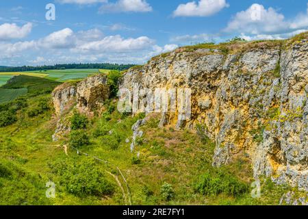 Carrière abandonnée sur le Goldberg près de Kirchheim sur le Nördlinger Ries, géoparc mondial UNESCO Banque D'Images