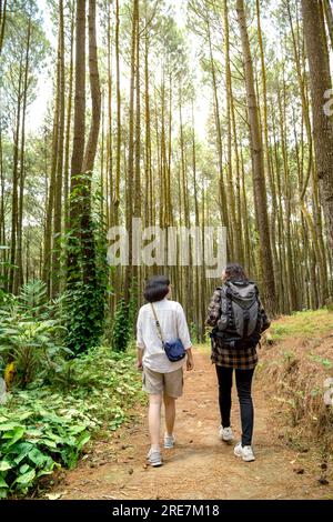 Vue arrière de deux femmes asiatiques trekking ensemble dans la forêt. Activité de voyage Banque D'Images