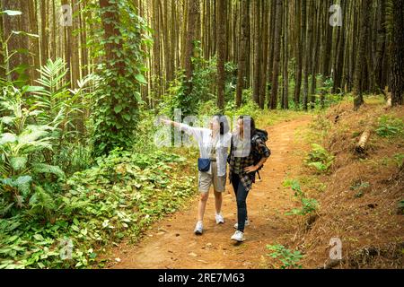 Deux femmes asiatiques trekking ensemble dans la forêt. Activité de voyage Banque D'Images