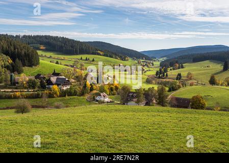 Vue sur le Jostal automnal dans la Forêt Noire près de Titisee-Neustadt, Baden-Wuerttemberg, Allemagne Banque D'Images