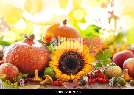 Nature morte d'automne avec des fruits de saison, des fleurs et des légumes sur fond de bois. Banque D'Images