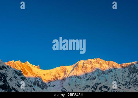 Ciel étoilé au-dessus du camp de base de Machhepuchare et Annapurna - Népal, Himalaya Banque D'Images